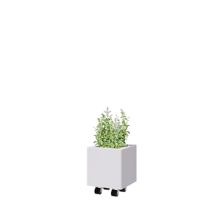 Pflanzkübel aus Stahl - Viereckig - 30 x 30 x 30 cm - RAL9010 matte (weiß) - Mit Bodenplatte - Mit Rollen