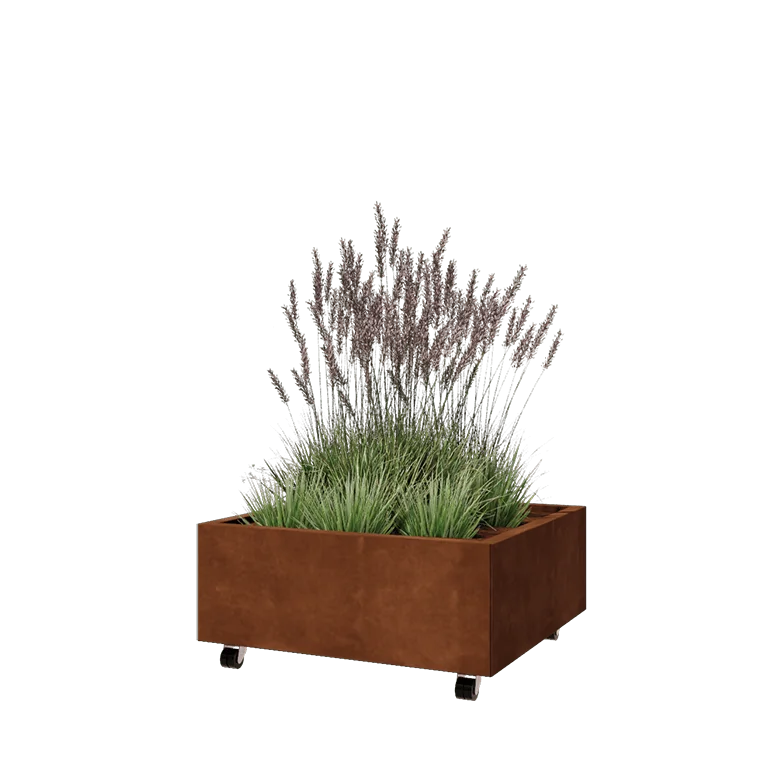 Cortenstahl Pflanzkübel - Viereckig - 80 x 80 x 30 cm - Mit Bodenplatte - Mit Rollen